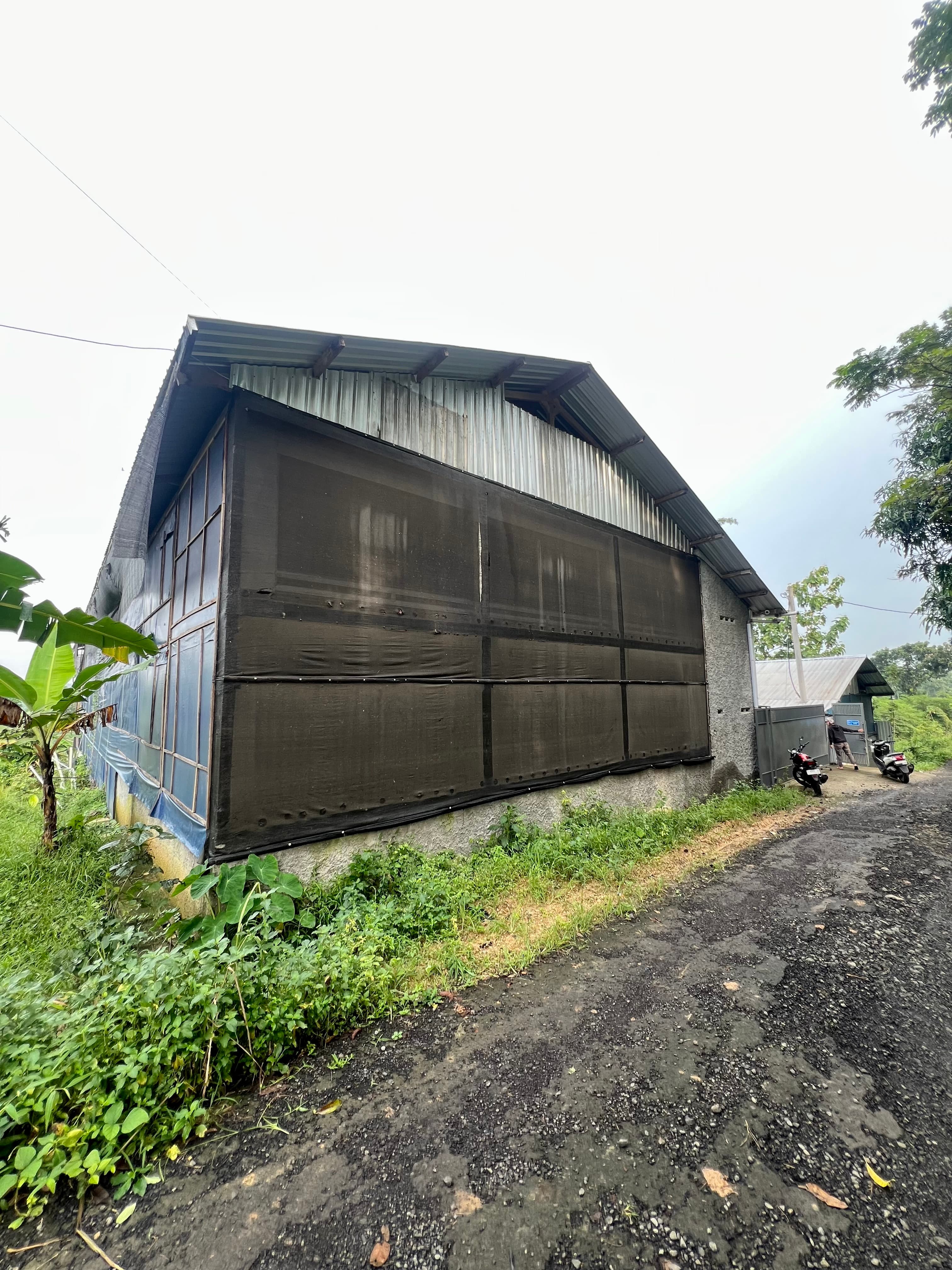 Eksterior kandang samping Tobasa Farm